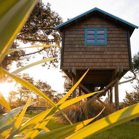 Tui Ridge Eco Cabins Aongatete Exterior photo