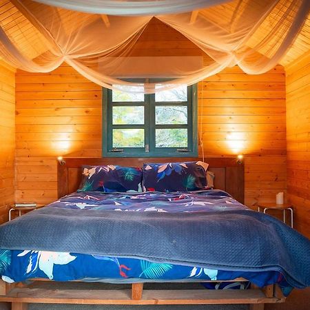 Tui Ridge Eco Cabins Aongatete Exterior photo