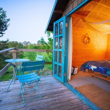Tui Ridge Eco Cabins Aongatete Exterior photo