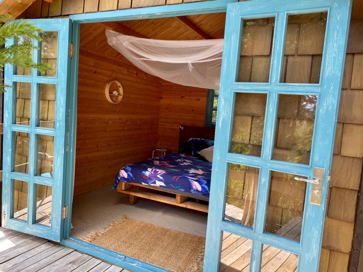 Tui Ridge Eco Cabins Aongatete Exterior photo